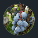 Diana Fruto de espina negra<br><div class="desc">arbusto de la fruta de Blackthorn después de la lluvia</div>