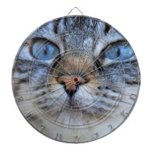 Gato gris