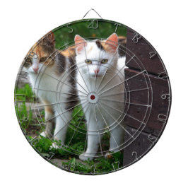 Diana Gatos jugando afuera