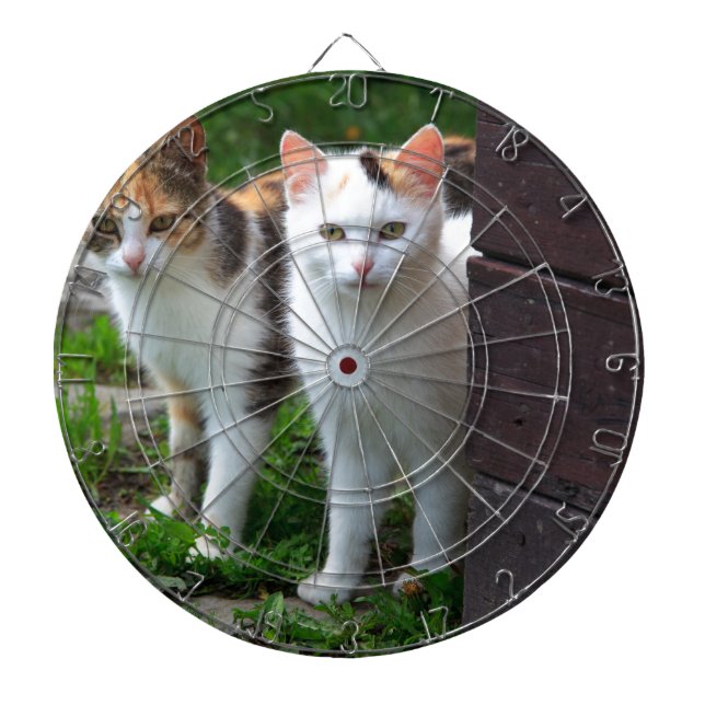 Diana Gatos jugando afuera (Frente)