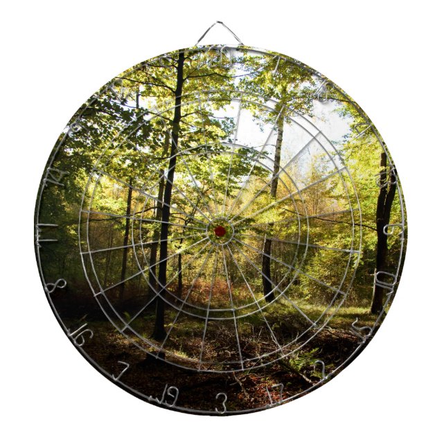 Diana Glade de bosque (Frente)