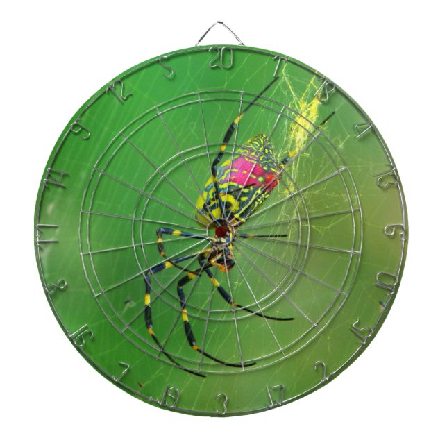 Diana Golden Orb Weaver Spider Dart Board (Frente)