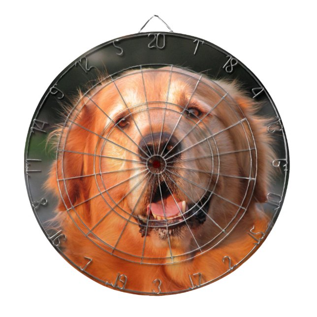 Diana Golden Retriever (Frente)