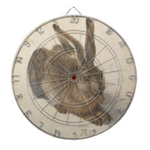 Hare (de Albrecht Dürer)