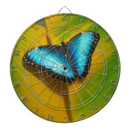 Diana Hermosa Mariposa Irisada
