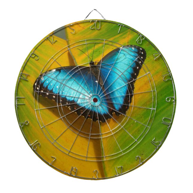 Diana Hermosa Mariposa Irisada (Frente)