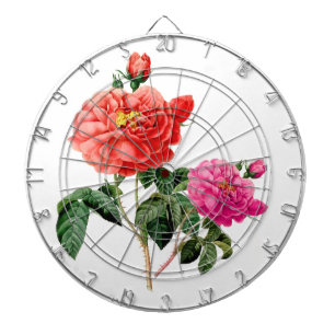 Diana hermosas flores de rosa rojas y rosadas vintage