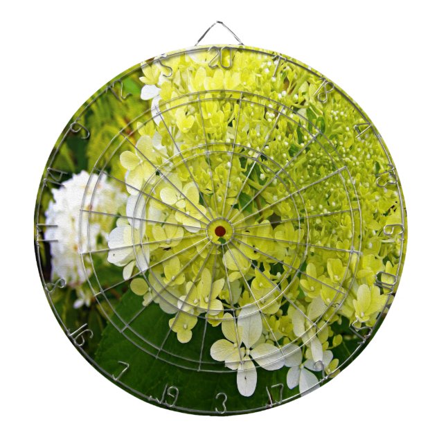 Diana Hortensia Limelight Verde Chartreuse Elegante (Frente)
