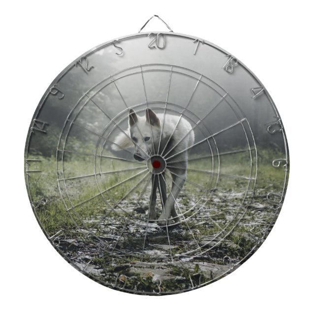 Diana Husky Siberiano Blanco (Frente)