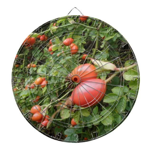 Diana Juicy Red Rose Hips Dart Board (Frente)