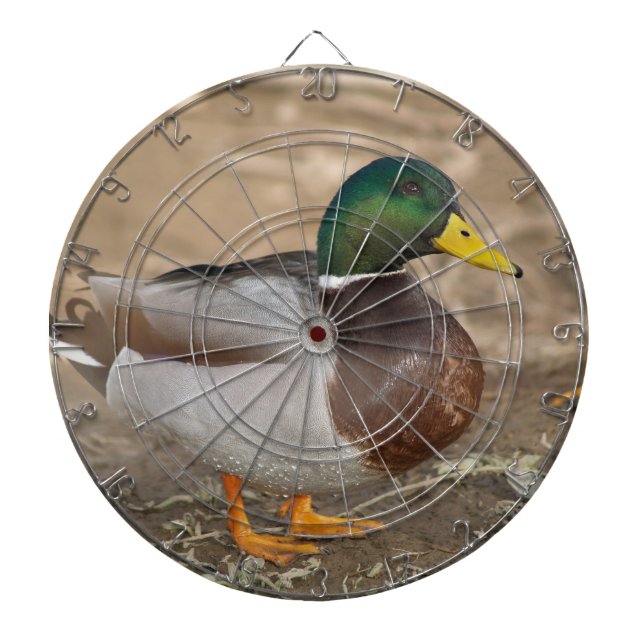Diana Junta Dart de Caza de Patos Mallard (Frente)