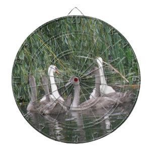 Diana Junta Dart de cignenes y cisnes