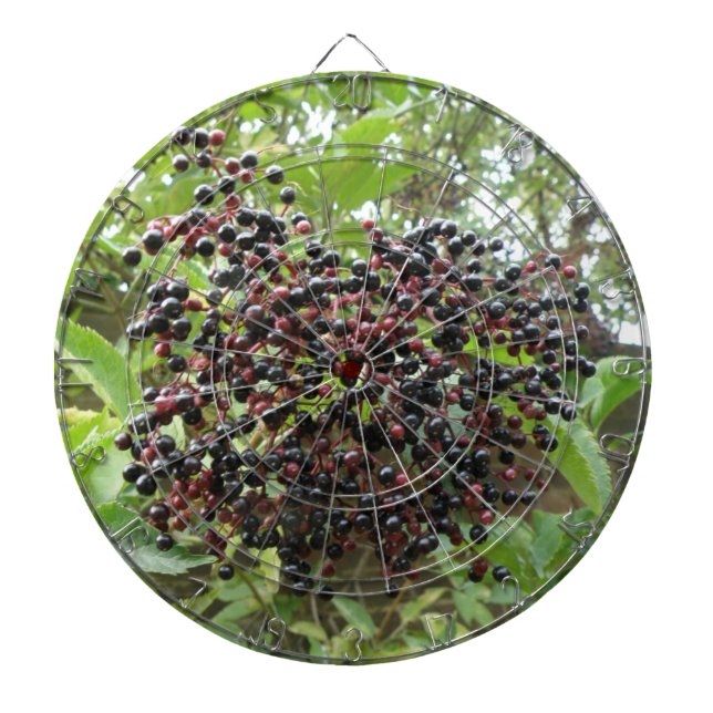 Diana Junta de arte de Ripening Elderberries (Frente)