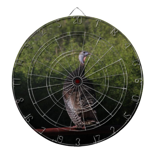 Diana Kansas Turkey Dart Board (Frente)