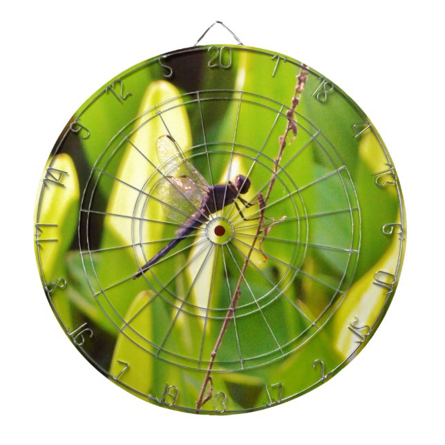 Diana La libélula azul y la negra sobre la hierba. (Frente)