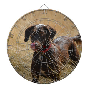 Diana Labrador Retriever marrón chocolate
