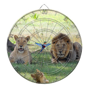 Diana Leones. Gato y colibrí en la selva