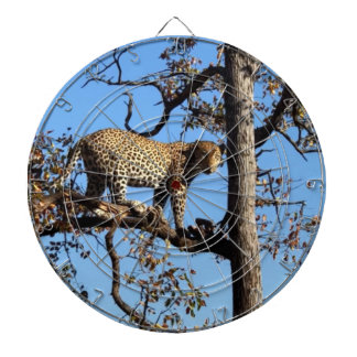 Diana Leopardo en un árbol en África