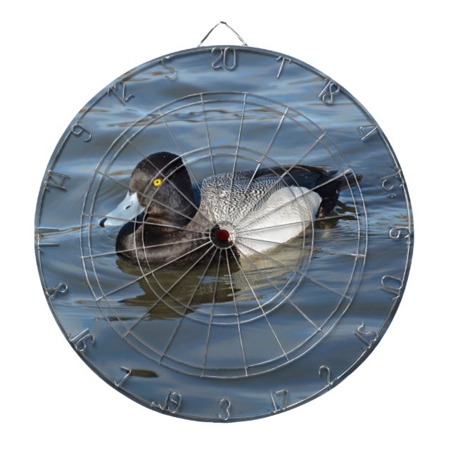 Diana Lesser Scaup Duck (Frente)