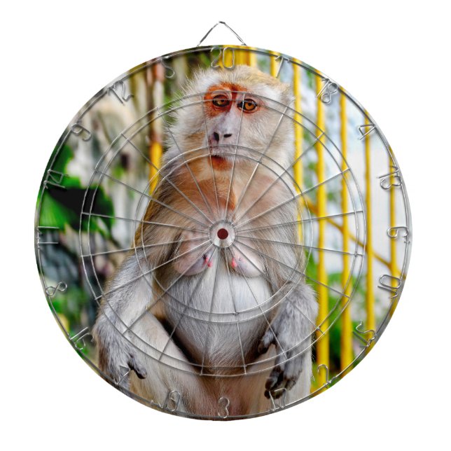 Diana Macaco cangrejero (Frente)