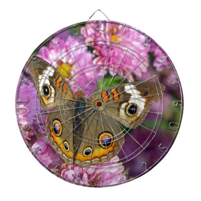 Diana Mariposa de Buckeye común (Frente)