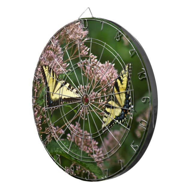 Diana Mariposas de cola de toro de tigre en Joe Pye Weed (Frente Derecha)
