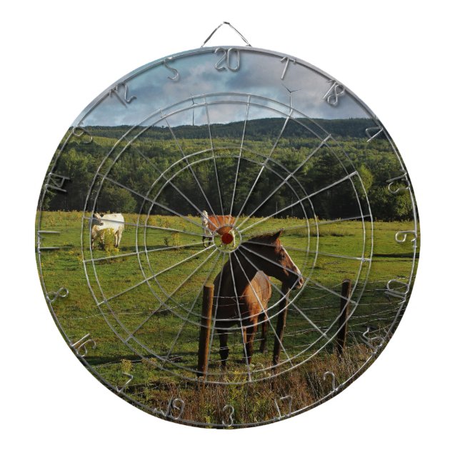 Diana Molinoes de viento en la distancia (Frente)