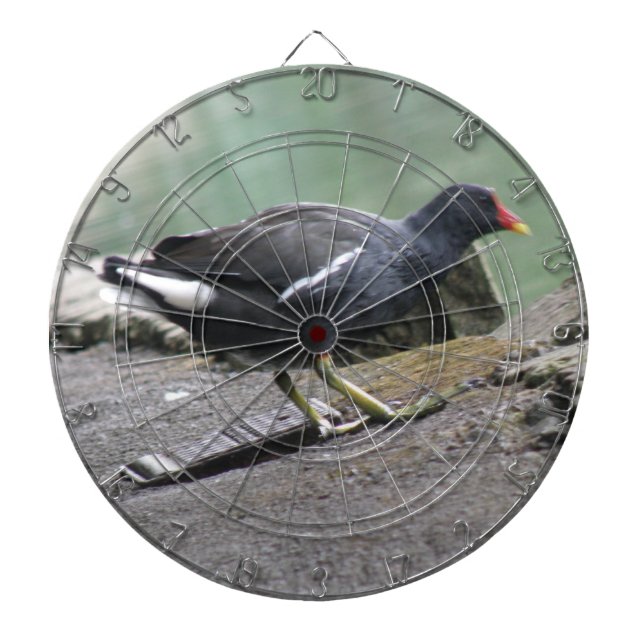 Diana Moorhen Dart Board (Frente)