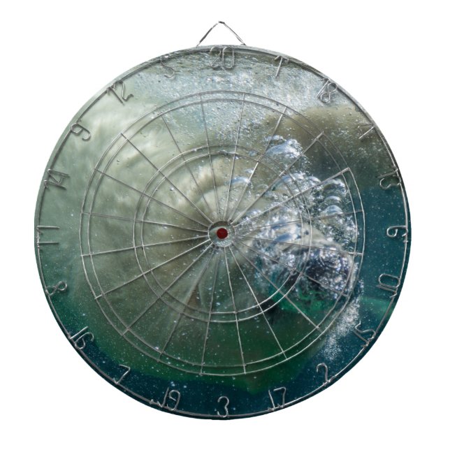 Diana Oso polar bajo el agua (Frente)