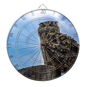 Diana Owl Bird Fethers Animal Nature Destruye Peace Love