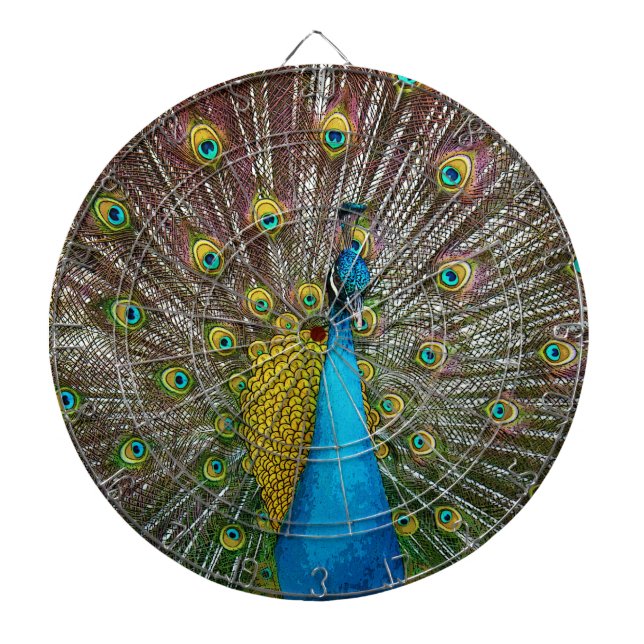 Diana Pájaro pavo real con desplome real en pantalla (Frente)