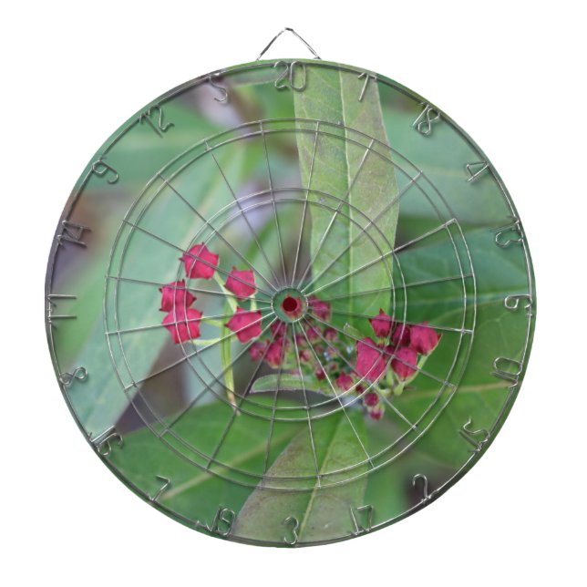 Diana Pequeños brotes de primavera (Frente)