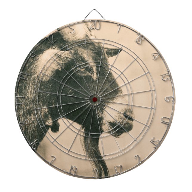 Diana Perfil de cabra (Frente)