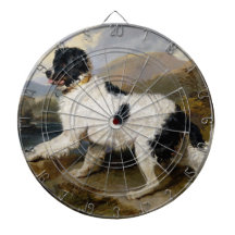 Perro de Terranova (animal blanco y negro)