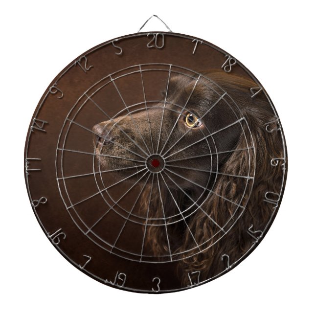 Diana Perro moreno (Frente)