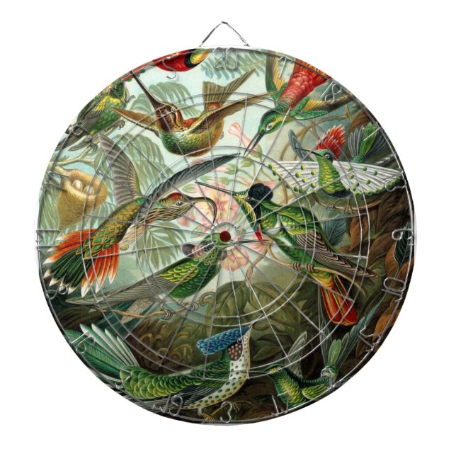 Diana pintura clásica de la fauna silvestre de comingbir (Frente)