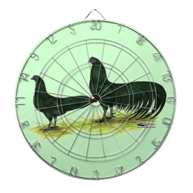 Diana Pollos negros de Sumatra (Frente)