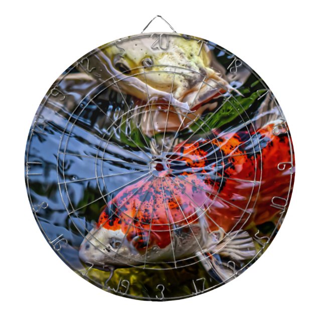 Diana Pond Koi Fish (Frente)