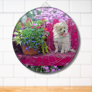 Diana Puppy bulffy Pomeraniano en el banquillo de jardín