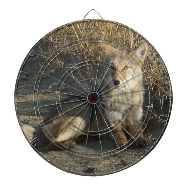 Diana R19 Coyote Acostado (Frente)