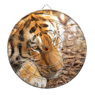 Diana Reposo de tigres