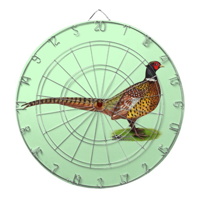 Diana Ringneck Pheasant Rooster (Frente)