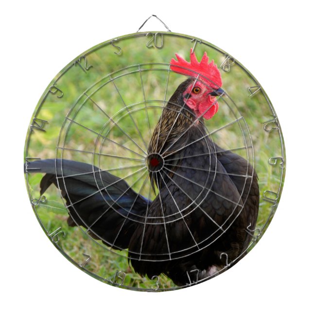 Diana Rooster de lucha (Frente)