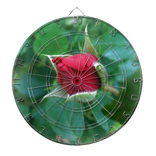 Diana rosebudo rojo (Frente)