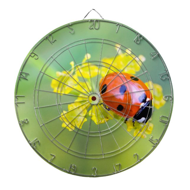 Diana señora de arriba (Frente)