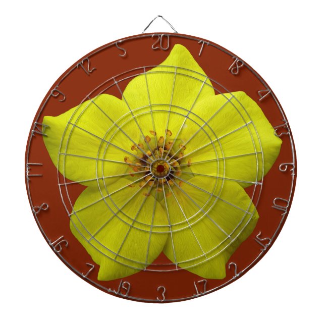 Diana Shrubby Cinquefoil #1 (Frente)