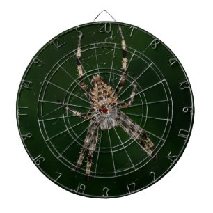 Diana Spider