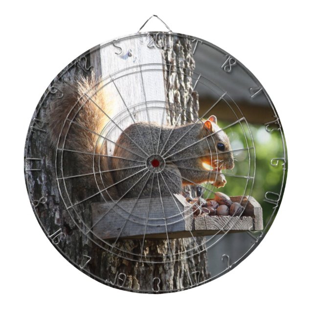Diana Squirrel Dartboards (Frente)
