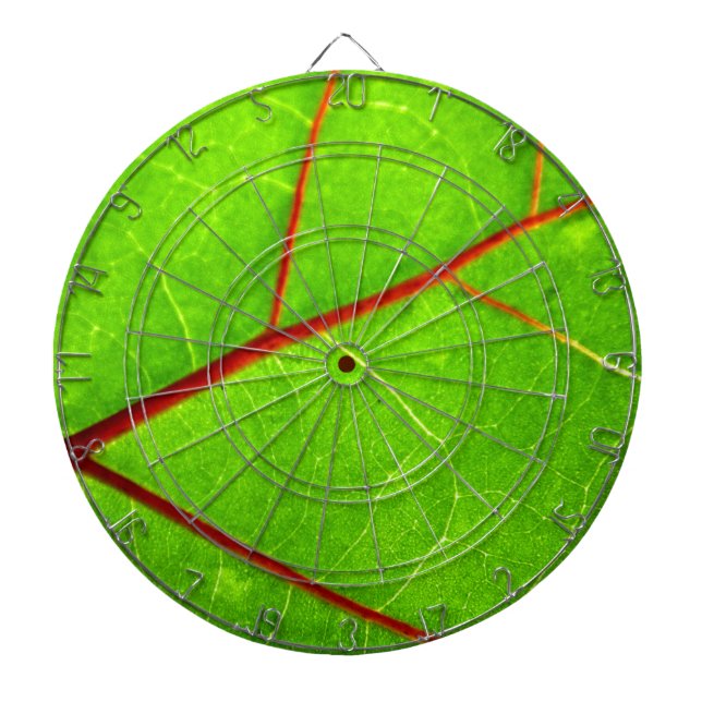 Diana St Thomas 1 (Frente)