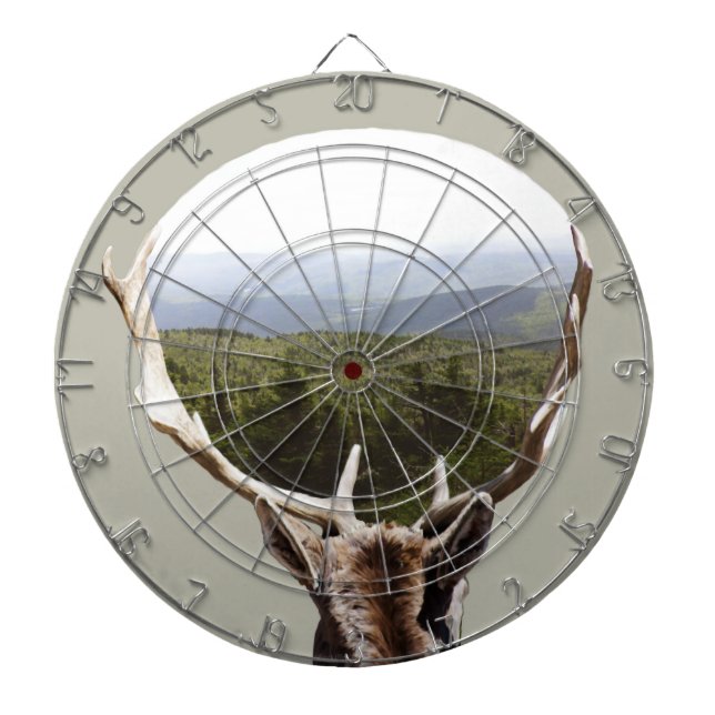 Diana Su dominio (Frente)